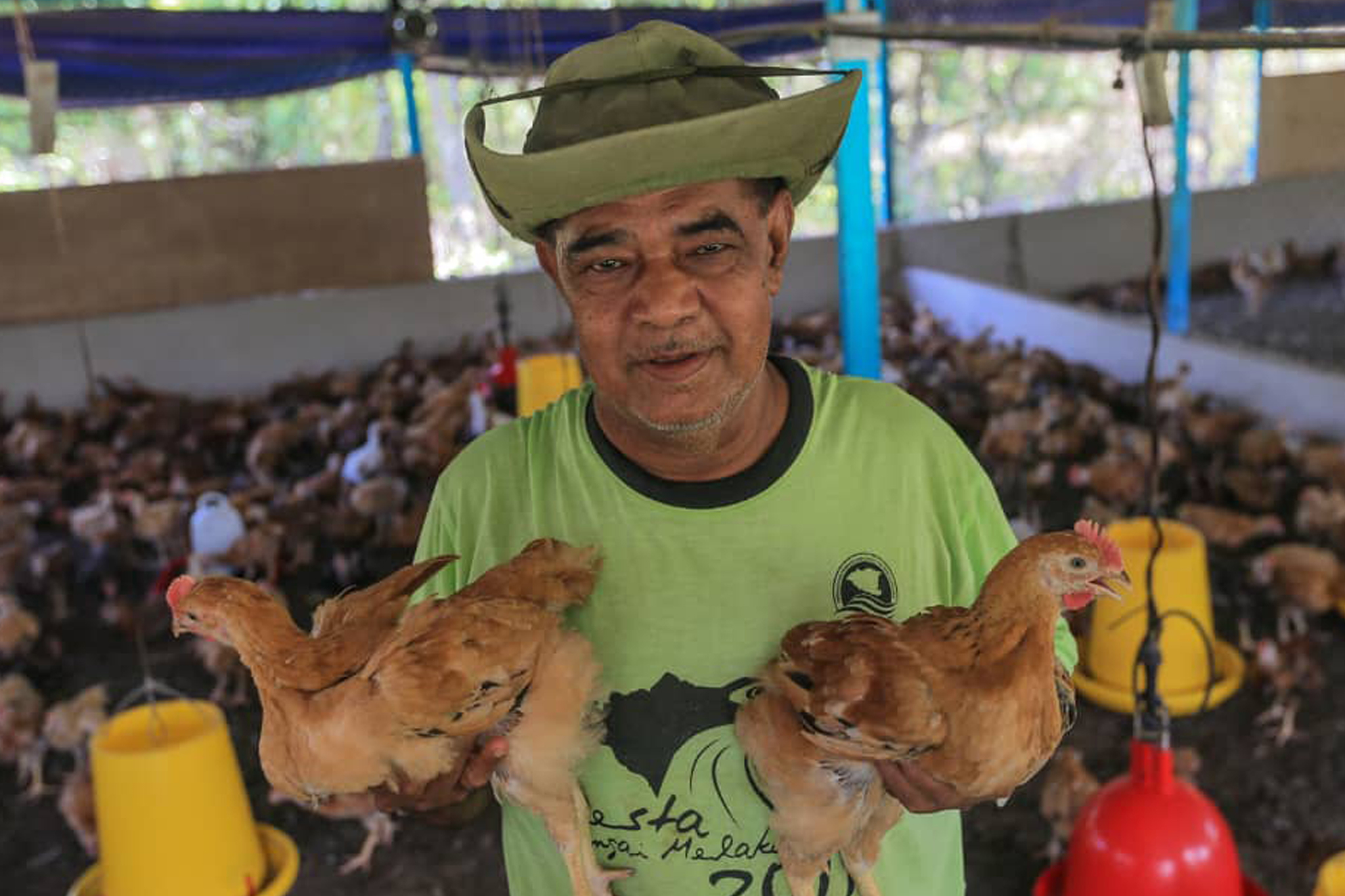 Projek Ternakan Ayam Kampung Organik Jana RM3,600 Dalam 36 Hari