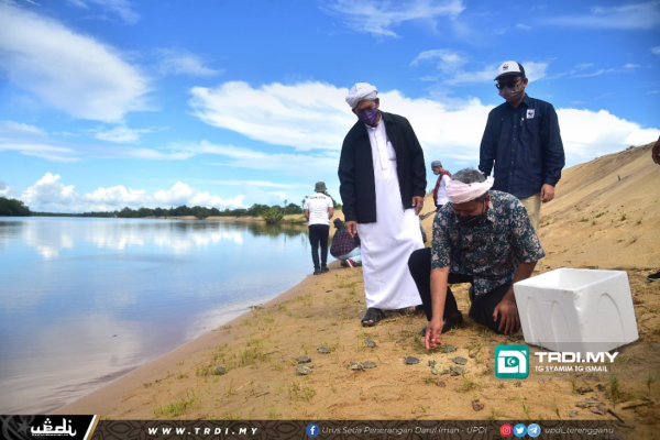 Pendidikan Konservasi Tuntung Laut Melalui Produk Pelancongan Trdi News