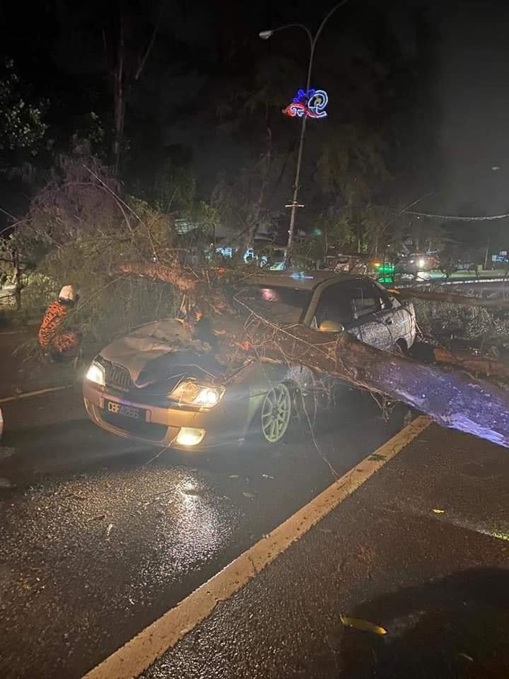 Pokok Tumbang Hempap Kereta, Nyaris Ragut Nyawa
