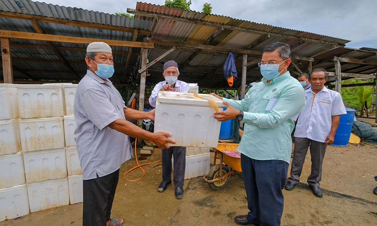 Penternak Akuakultur Terima 100 Kilogram Ikan Kecil