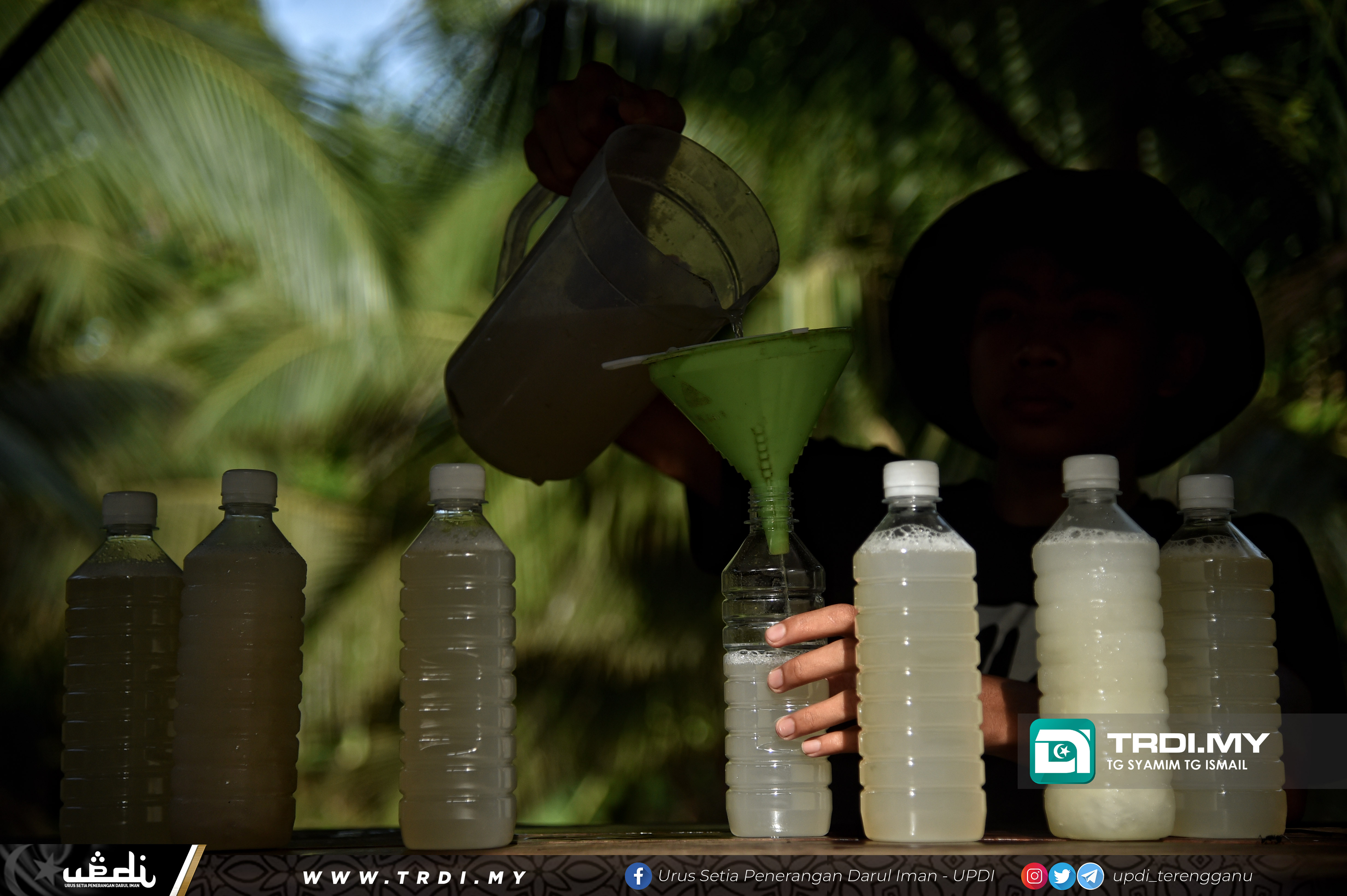 Proses Pengambilan AIr Nira Kelapa