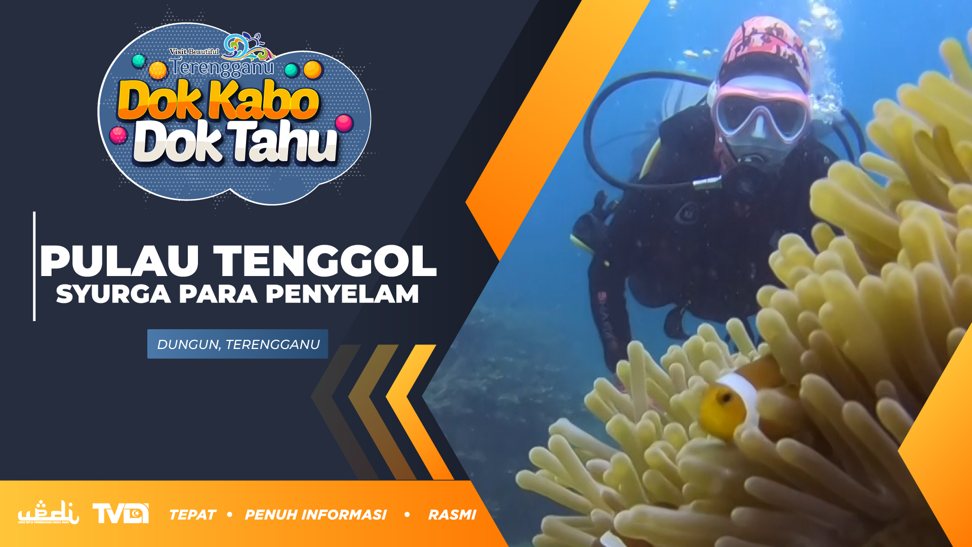 Pulau Tenggol Syurga Para Penyelam