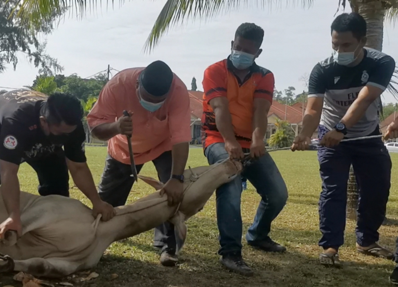 Erti Sebuah Pengorbanan Dan Keikhlasan