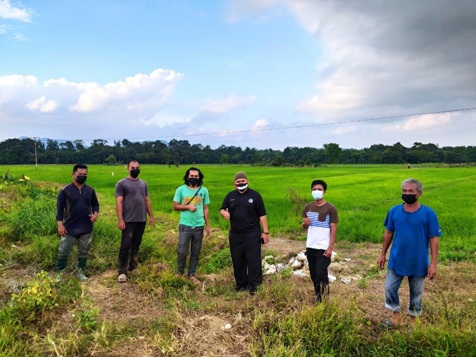 Belia Tok Lawit Manfaatkan Tanah Terbiar Untuk Pertanian