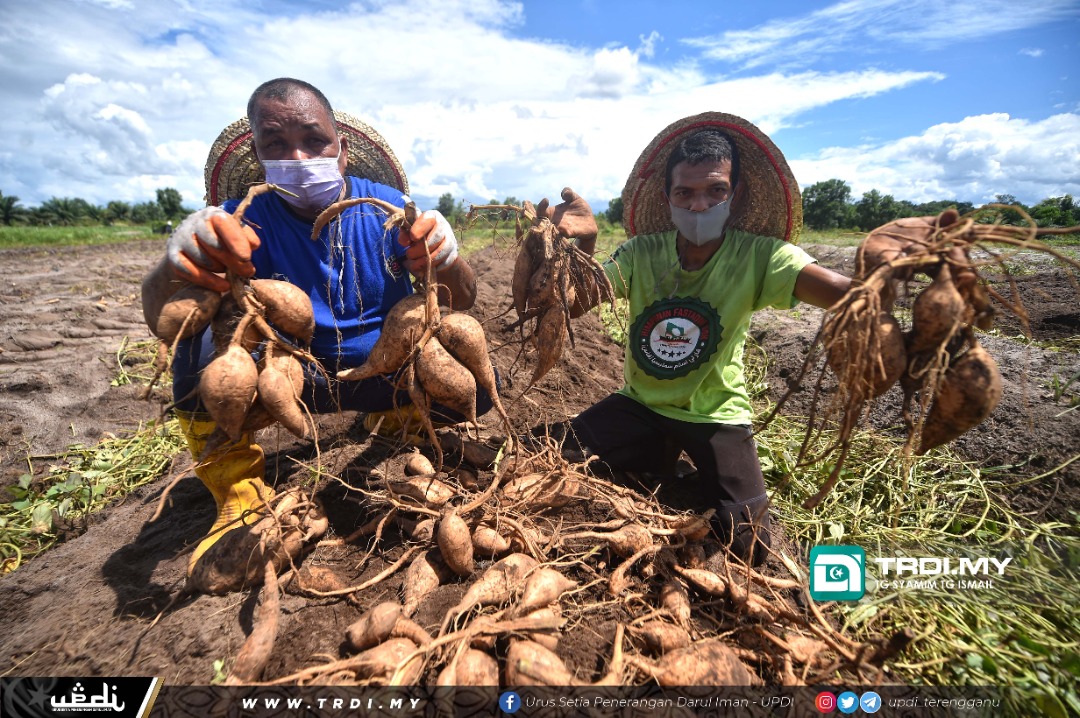 Pertanian Pacu Pembangunan Rakyat Setiu