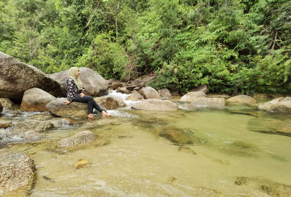 Tengkujuh: Taman Eko-Rimba, Hutan Taman Negeri Ditutup Sementara Bermula Esok
