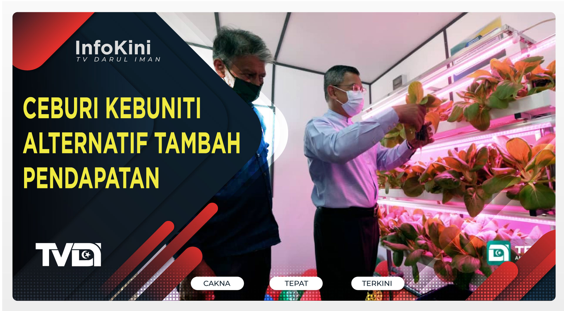 CEBURI KEBUNITI ALTERNATIF TAMBAH PENDAPATAN