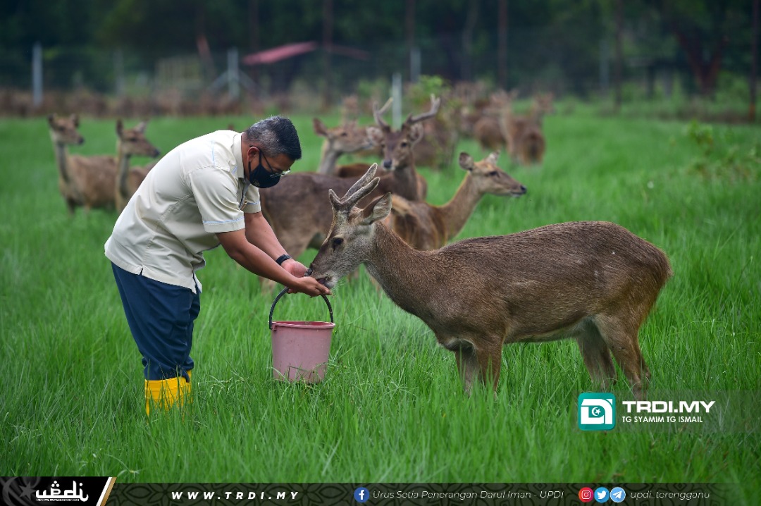 Projek Rusa Nukleus Terengganu Sasar Keluar Hasil 2023