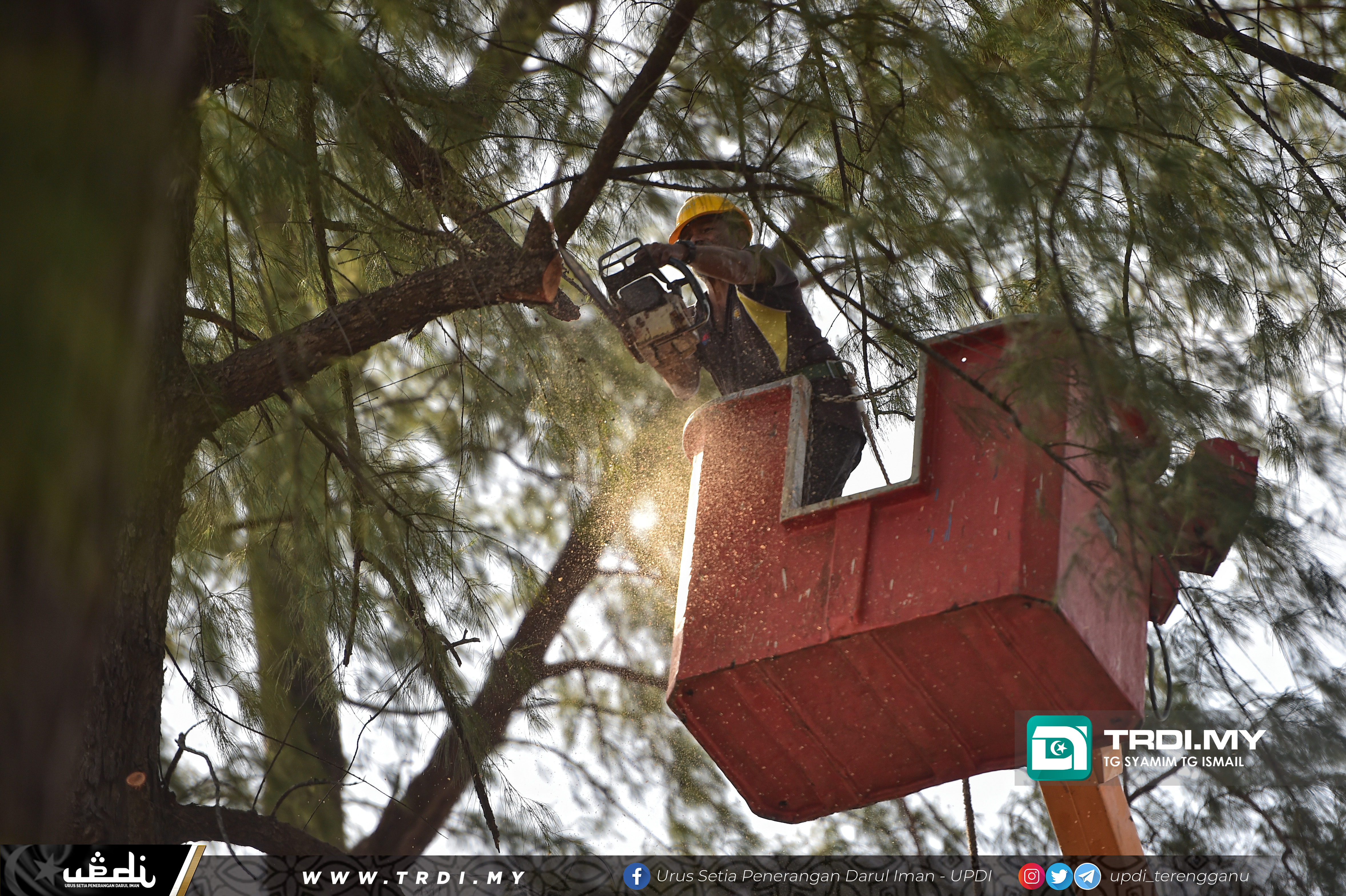 Kerja-kerja mencantas dahan pokok di sekitar laluan Pantai Batu Buruk,Kuala Terengganu