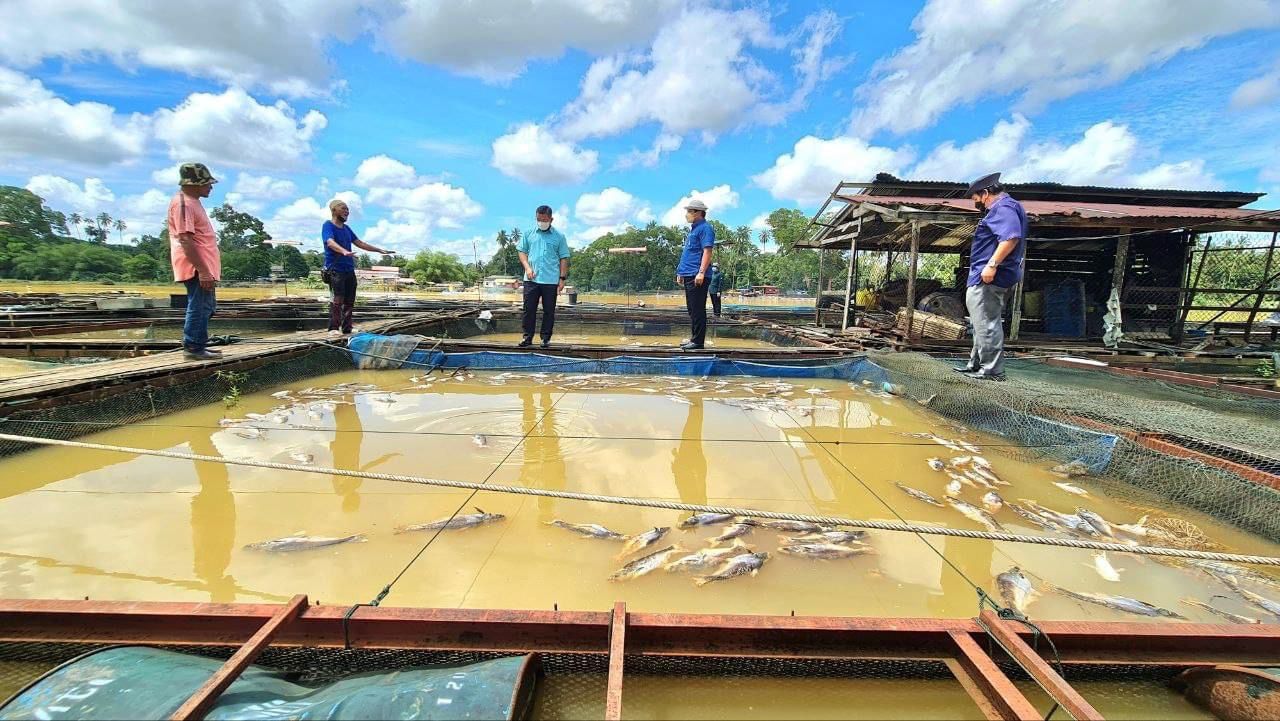 Kerajaan Negeri Akan Salur Bantuan Kepada Penternak Terjejas