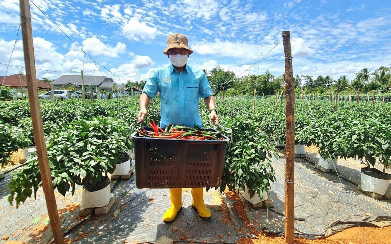Hampir RM8 Juta Berjaya Disalurkan Manfaat Daripada SBMT