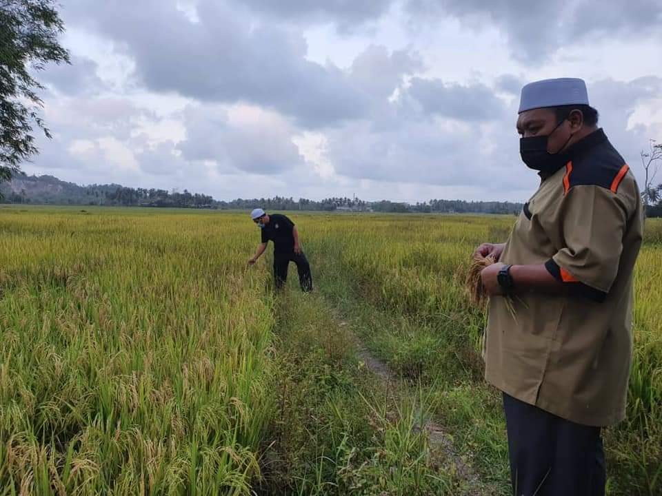 MAFI Komited Bantu Petani Terjejas
