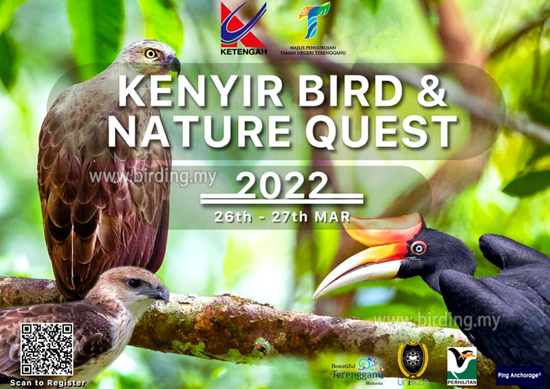 Tasik Kenyir 'Bird Watching Destination' Temukan 40 Spesies Baharu Burung