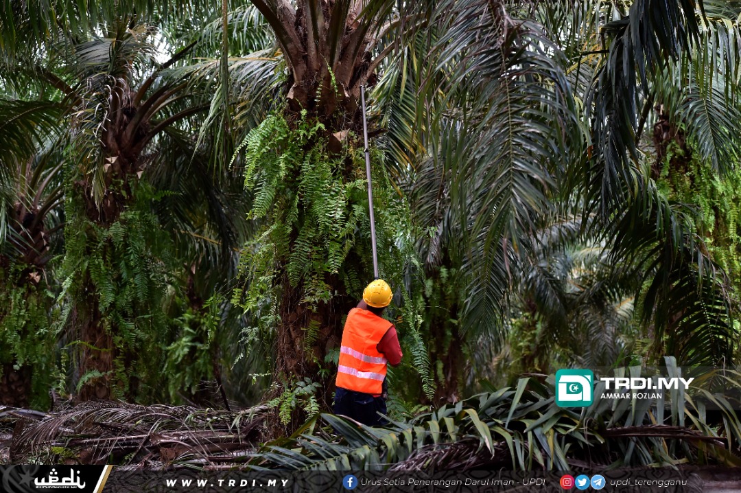TDM Plantation Kekal  Diiktiraf Pensijilan ISCC EU