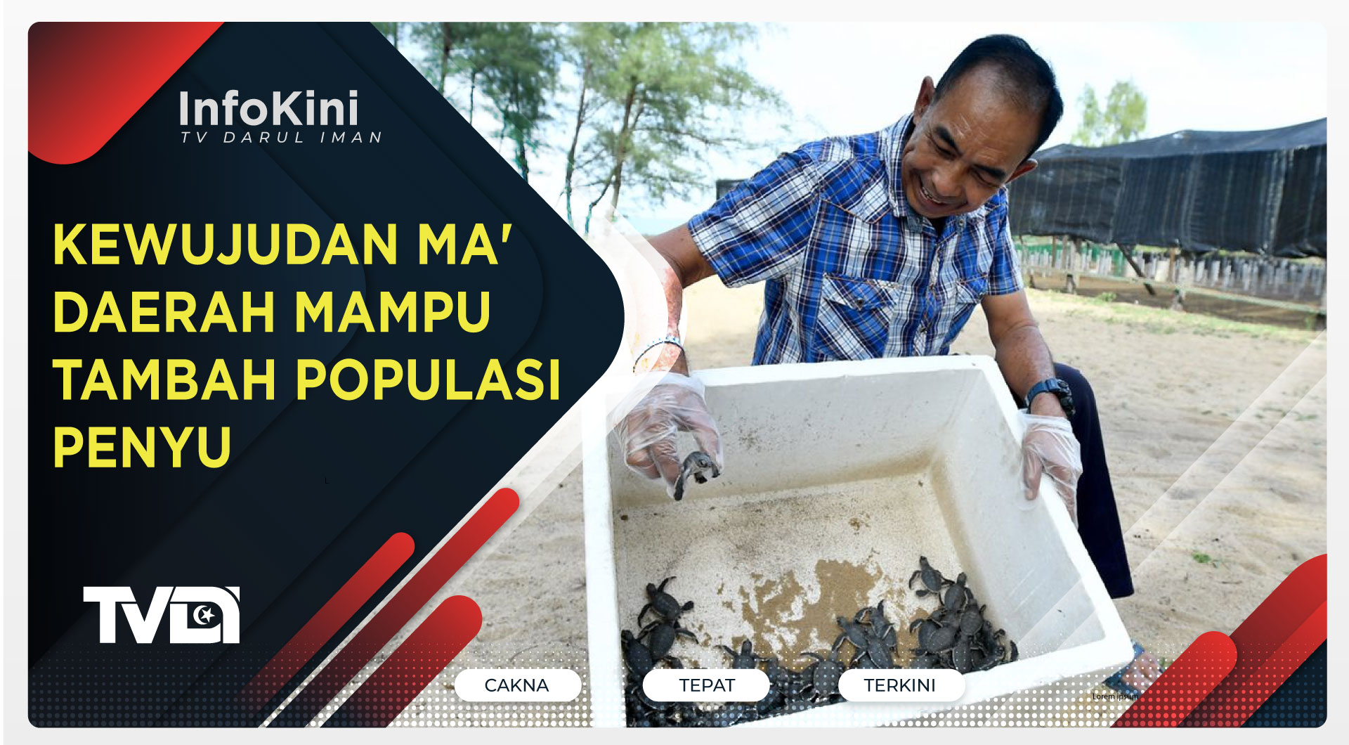 Kewujudan Ma'daerah Mampu Tambah Populasi Penyu