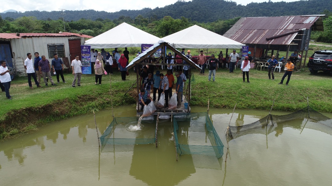 Program PROSPEK KETENGAH Manfaatkan Lebih 3 Ribu Penduduk