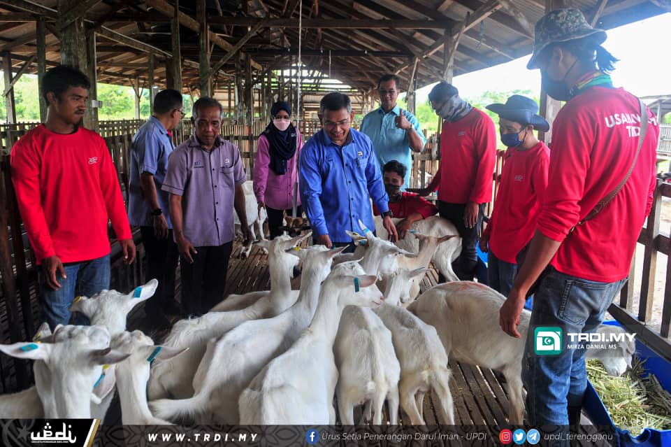Bantu Usahawan Melalui Penternakan Kambing