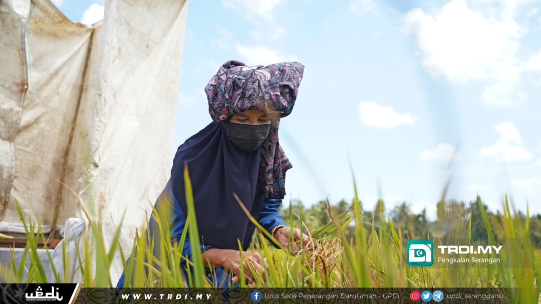 SSL Beras Terengganu Meningkat, Exco Jawab 'Kerisauan' NGO P.Pinang