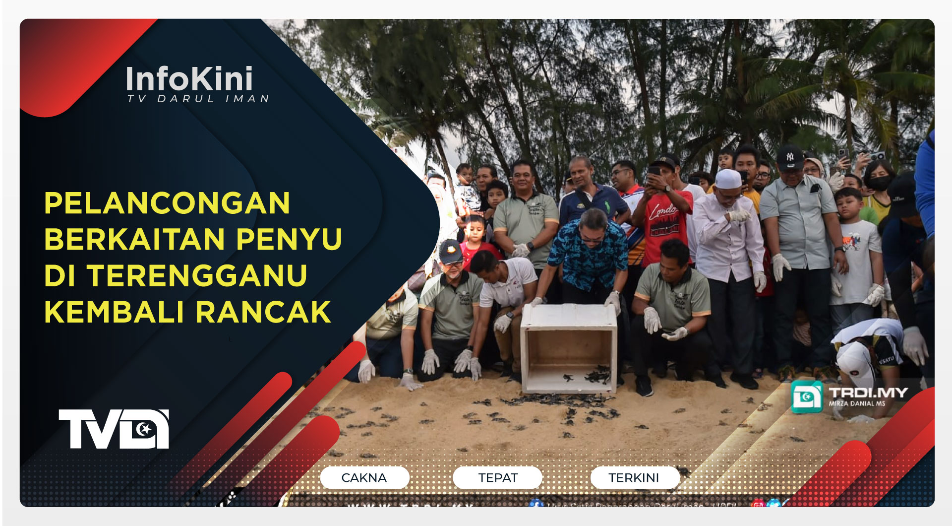 Pelancongan Berkaitan Penyu di Terengganu Kembali Rancak