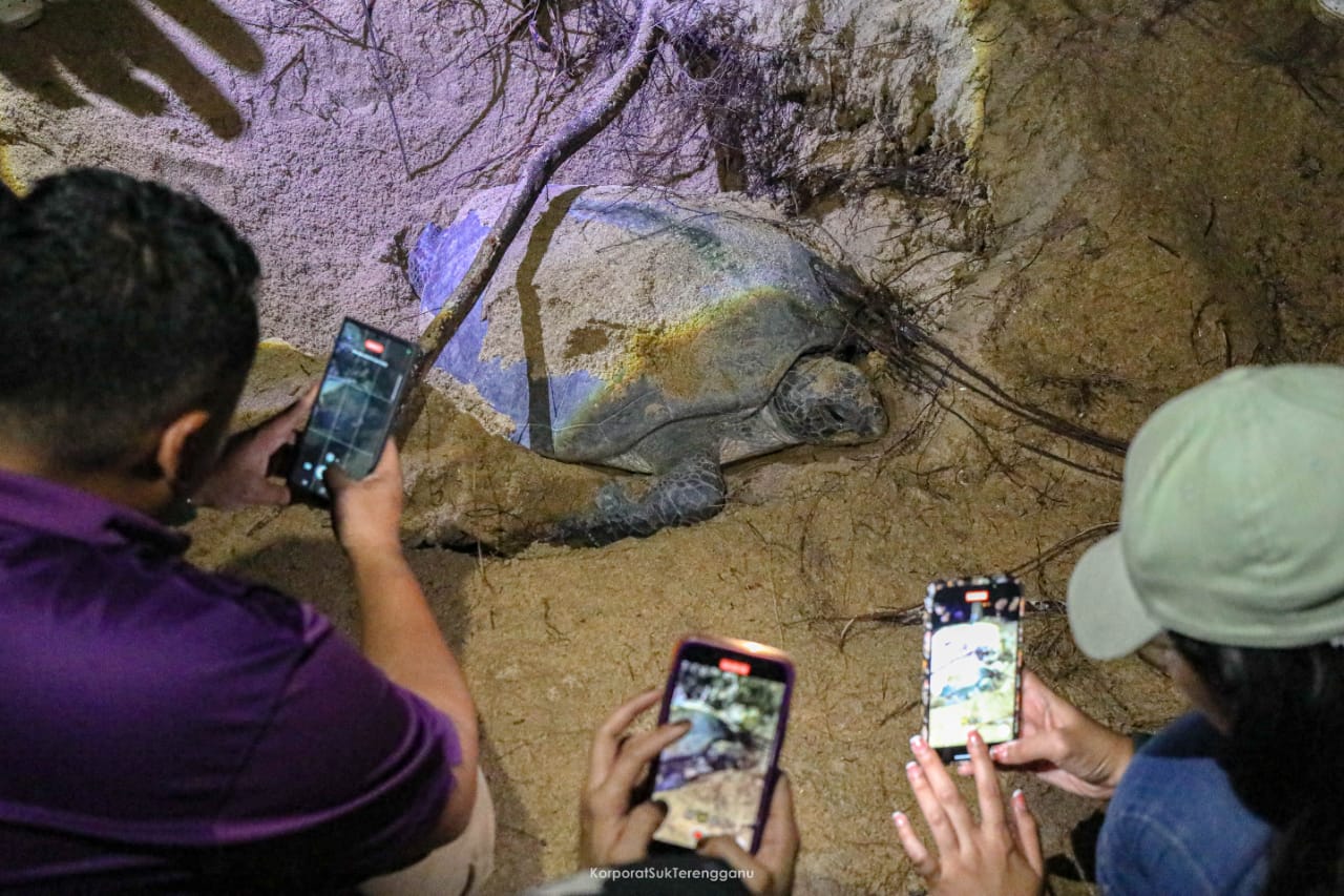 Terengganu Rancakkan Aktiviti Pelancongan Berasaskan Penyu