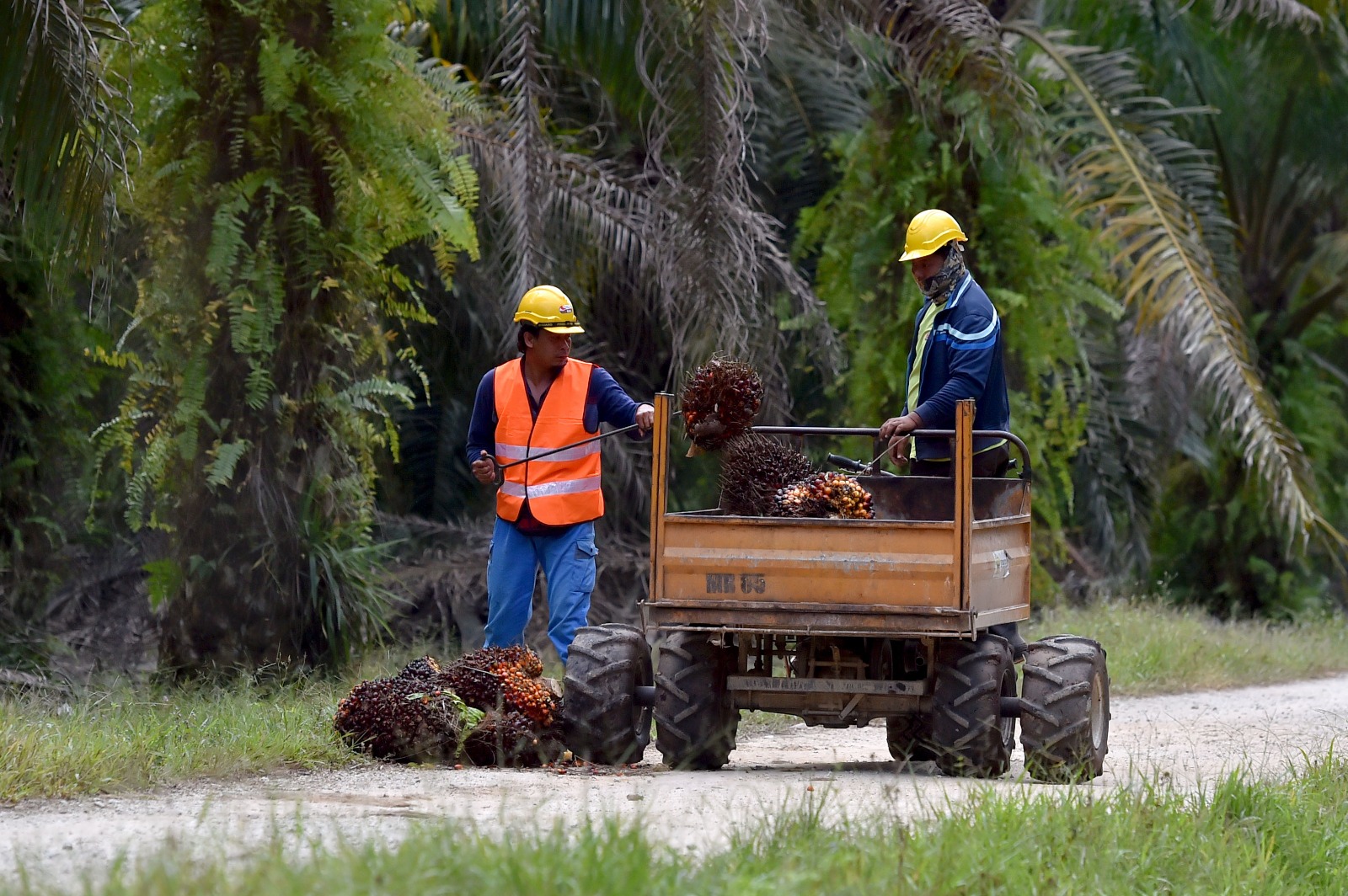 TDM Sasar 100 Peratus Pekerja Am Tempatan Menjelang 2027