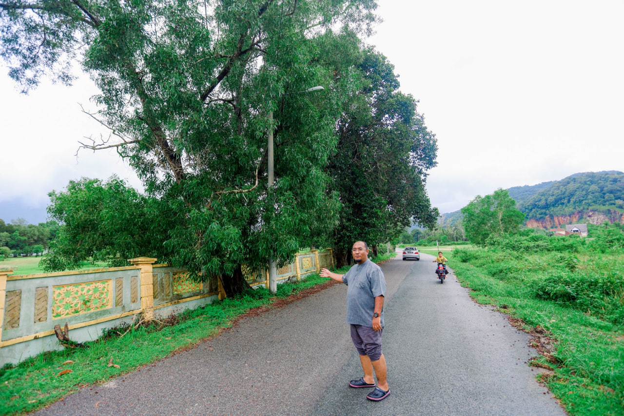 MPD Tebang Pokok Berisiko Tumbang