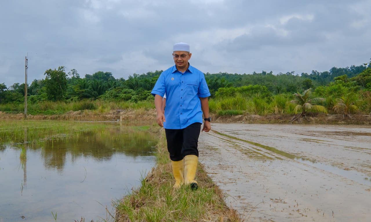 Tiada Syarikat Terengganu Diberikan Lesen Benih Padi Sah