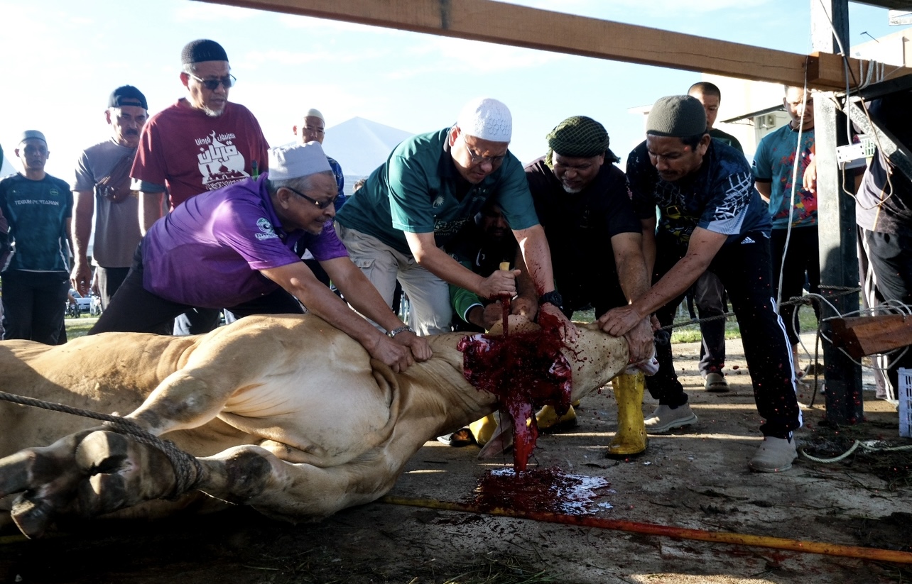 Korban Perdana Tanam Semangat Muafakat