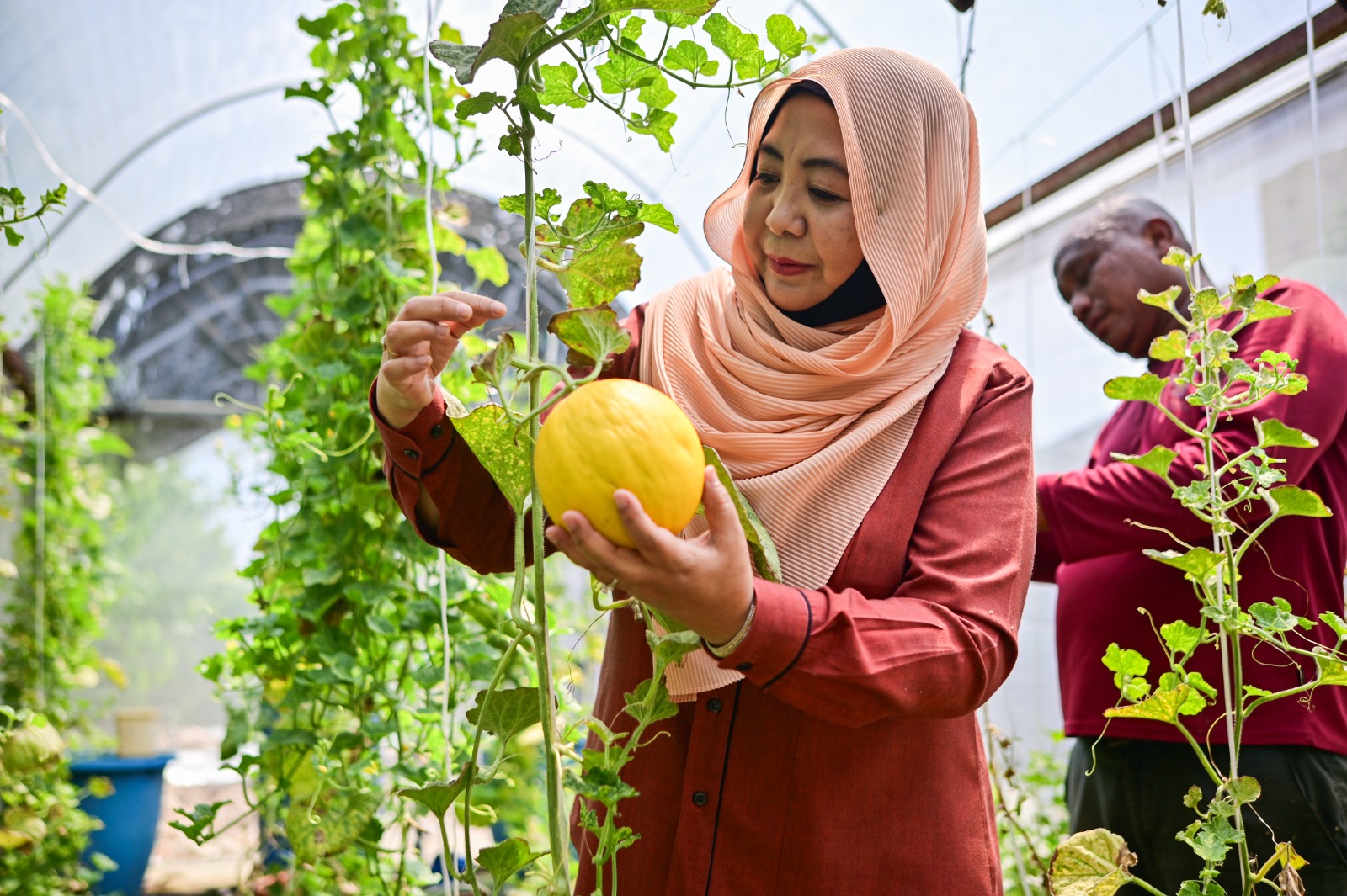 Primula Beach Hotel Jadi Hotel Pertama Di Terengganu Tanam MMT