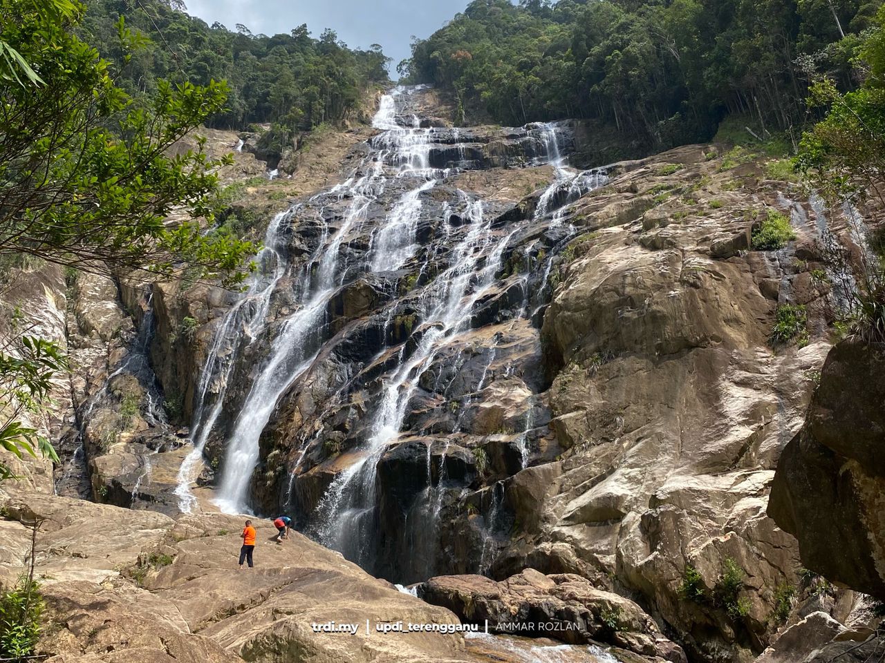 Taman Eko-Rimba, Hutan Taman Negeri Ditutup Sementara Bermula 1 November
