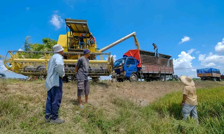 Beras Pun Naturalisasi?