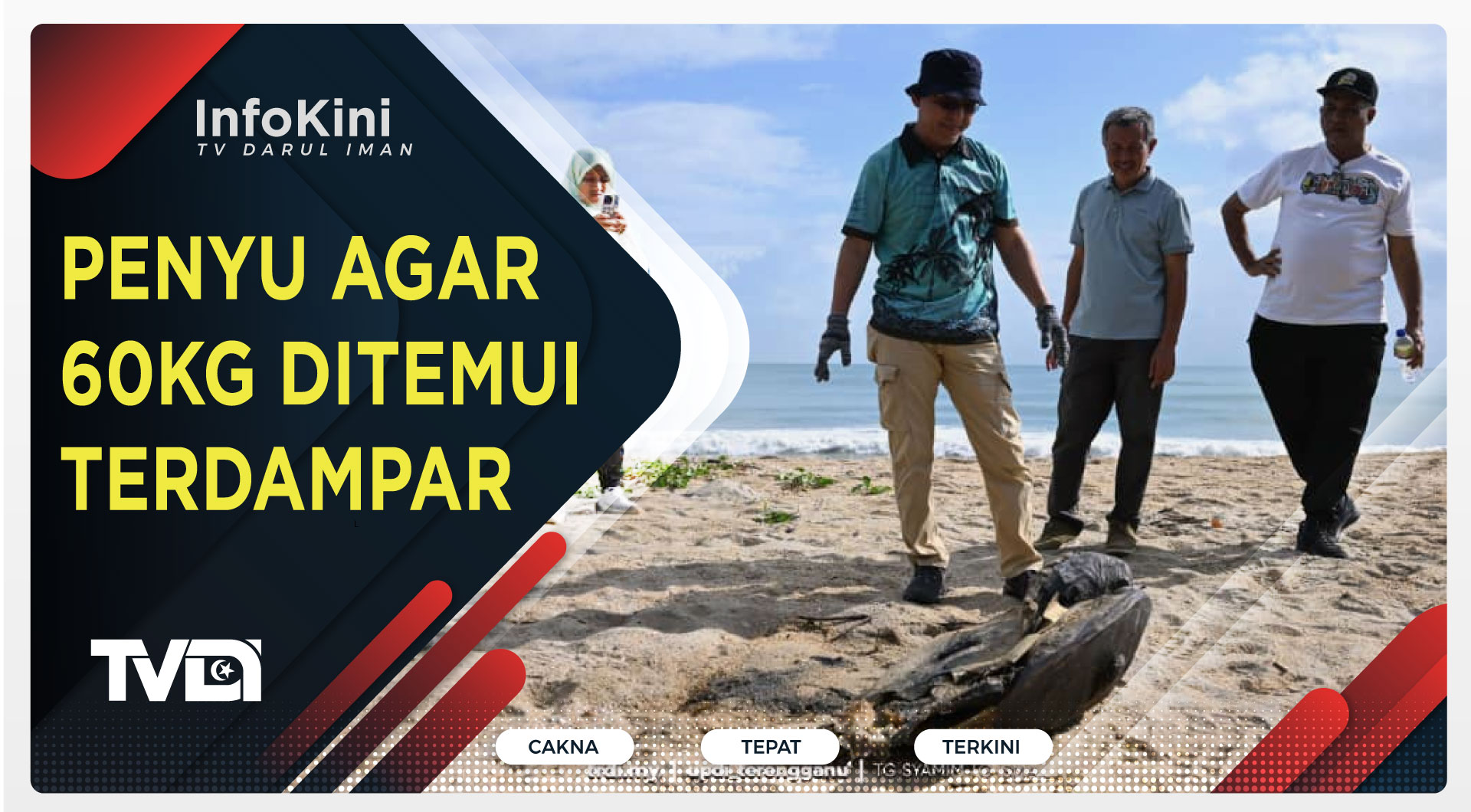 Penyu Agar 60Kg Ditemui Terdampar