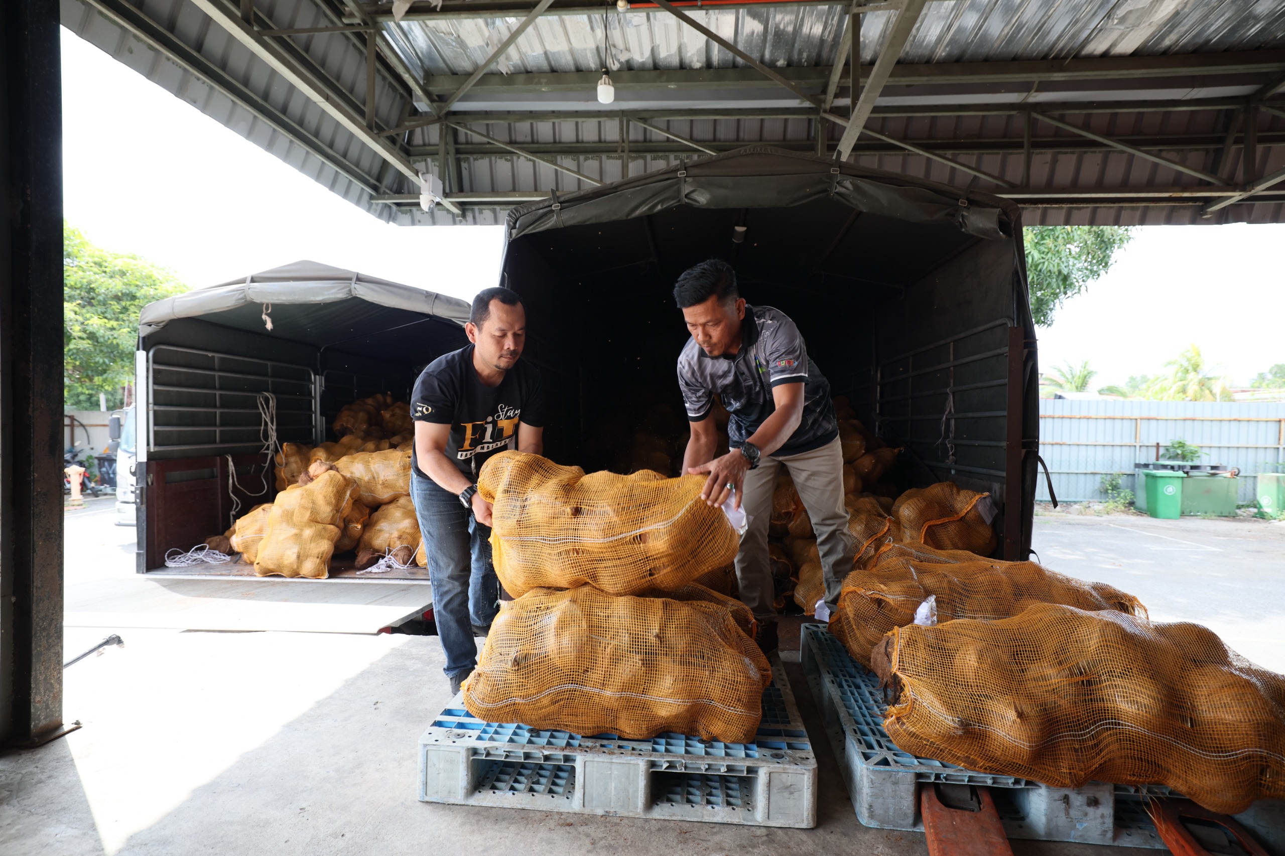 FAMA Jangka Terima 60 Mt Kelapa Atasi Kekurangan Bekalan