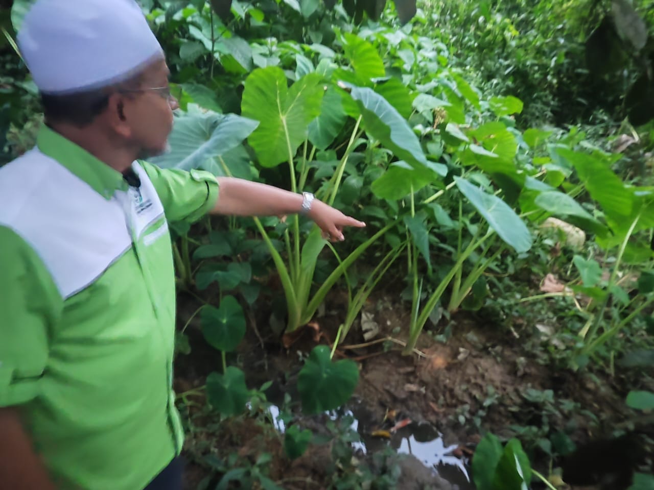 Penduduk Kampung Belimbing Risau Ancaman Pak Belang