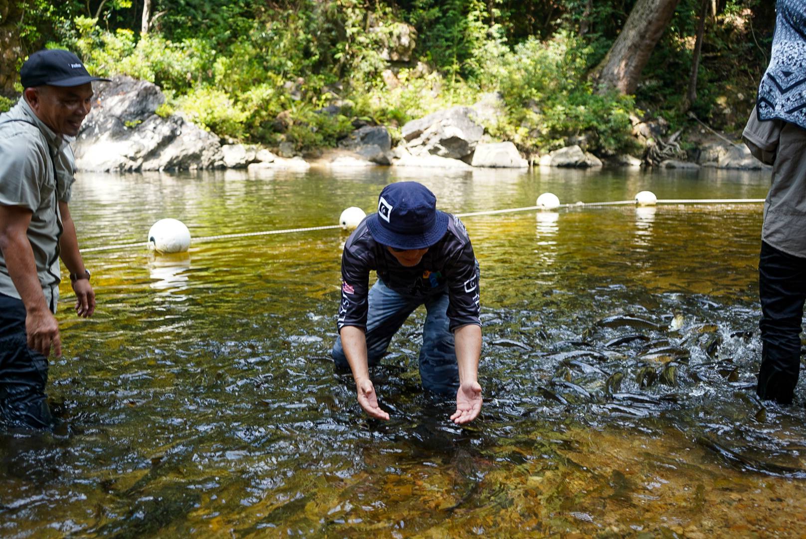 Jaminan Pemulihan Santuari Kelah, Pelancong Tidak perlu Bimbang