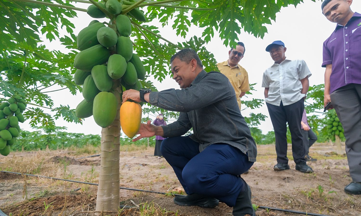 Masih Ada Lot Kosong TKPM, Kerajaan Negeri Ajak Petani Rebut Peluang