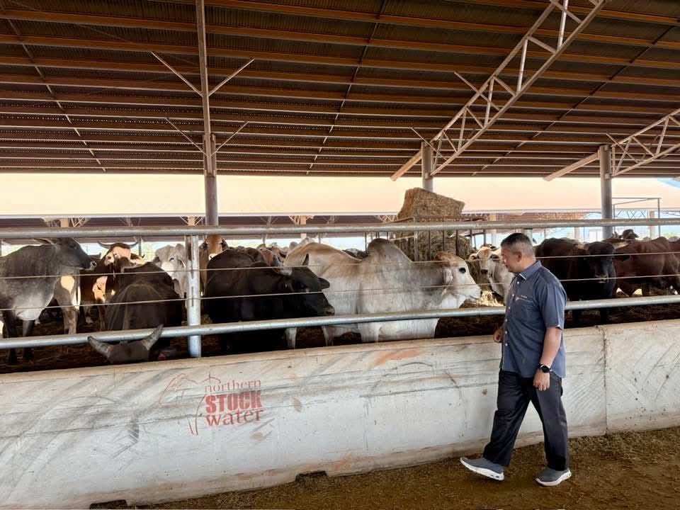 Terengganu Perkenal Mekanisme Baru Elak Kegagalan Program Lembu Pawah