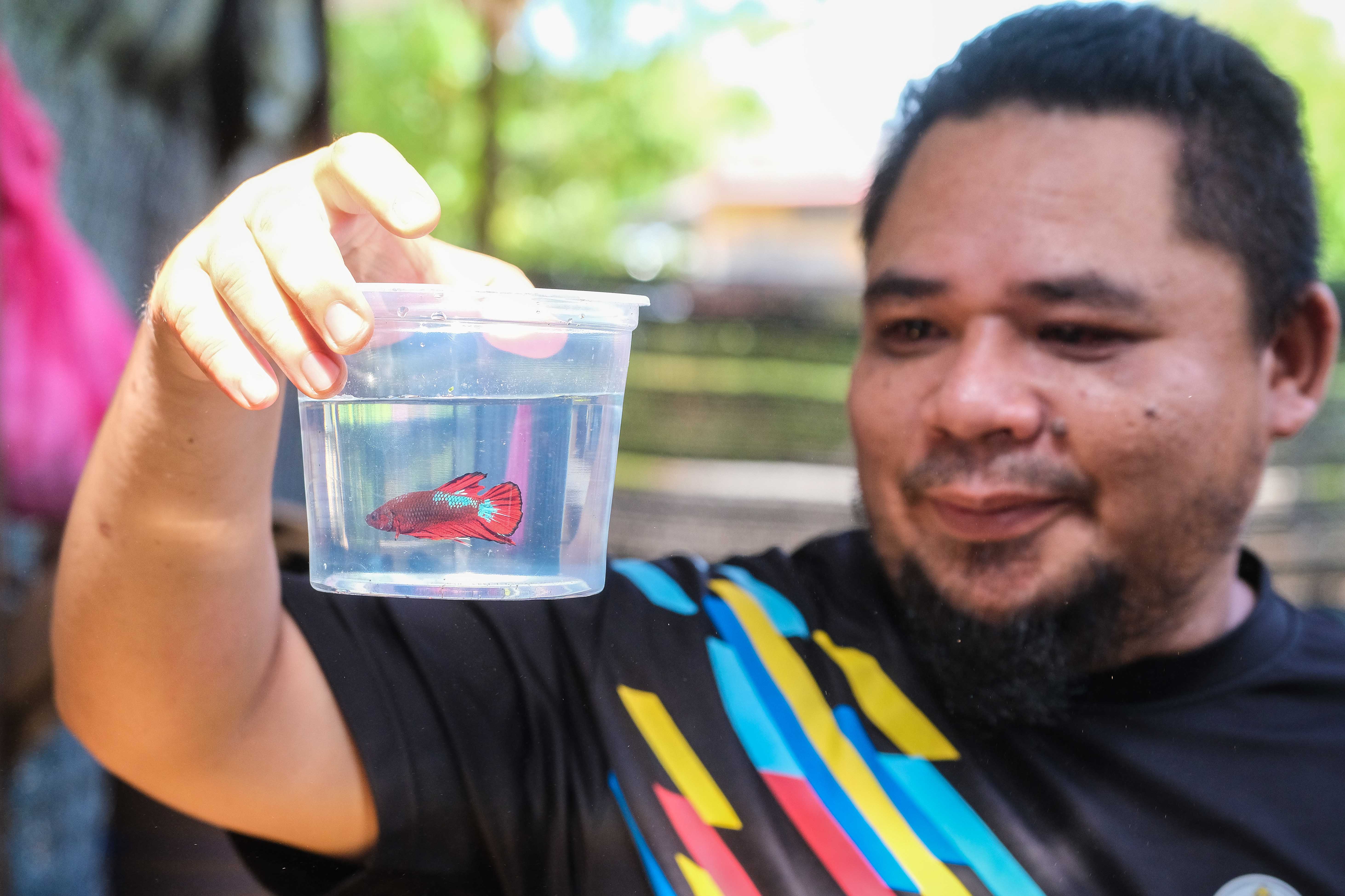 Ikan 'Sekila' Semakin Digilai Ramai