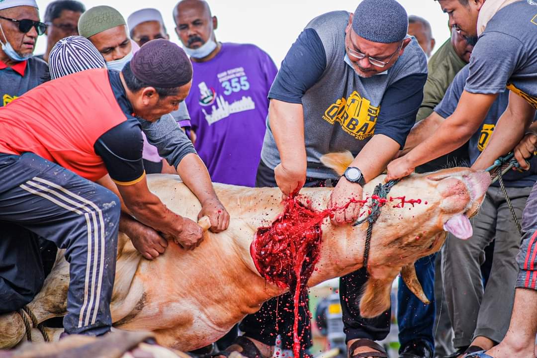 Muafakat Semua Pihak, Jayakan Ibadah Korban