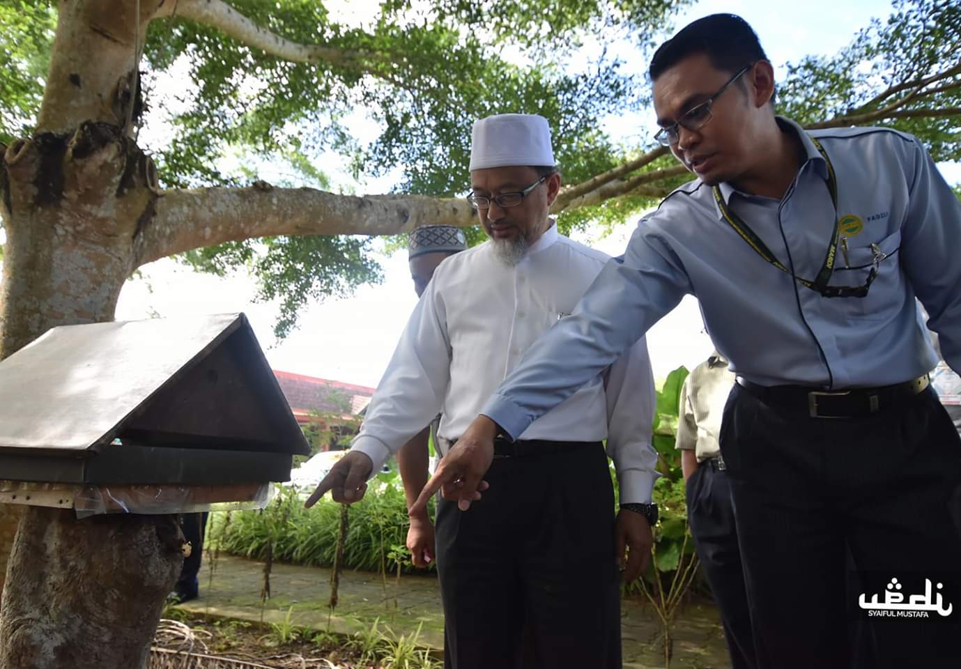 Kerajaan Galak Pelihara Kelulut Setiap Rumah