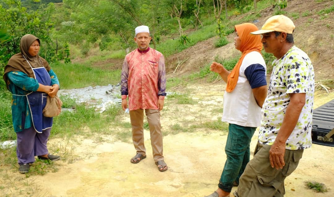 Pekebun Rugi Angkara Gajah