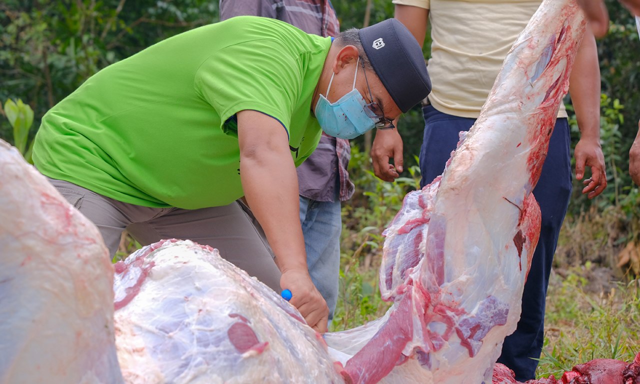 Dr Azman Korban Lembu Sado 3.2 Tan Untuk Penduduk Jabi