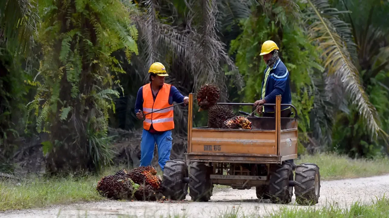 FELDA, FGV Akui Tanah Adalah Bidang Kuasa Kerajaan Negeri