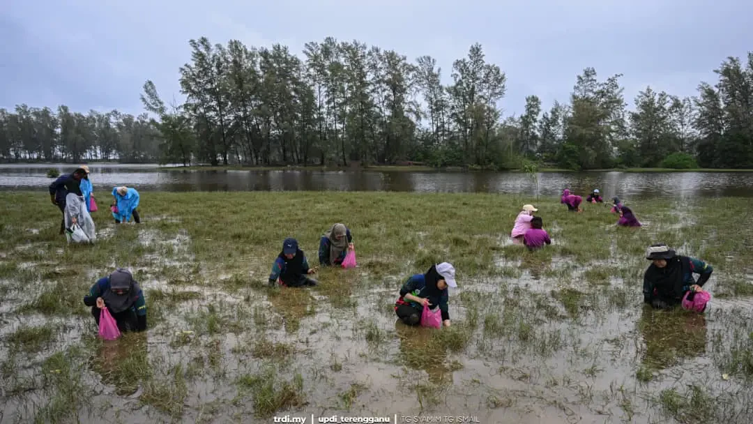 Festival Main Hujang Setiu 2026 Bakal Warnai Musim Tengkujuh Terengganu