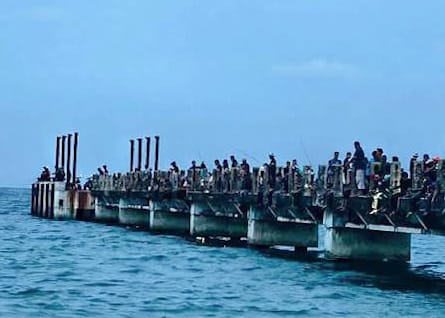 Jeti Lama Kijal Hidup Semula Kerana Candat Sotong