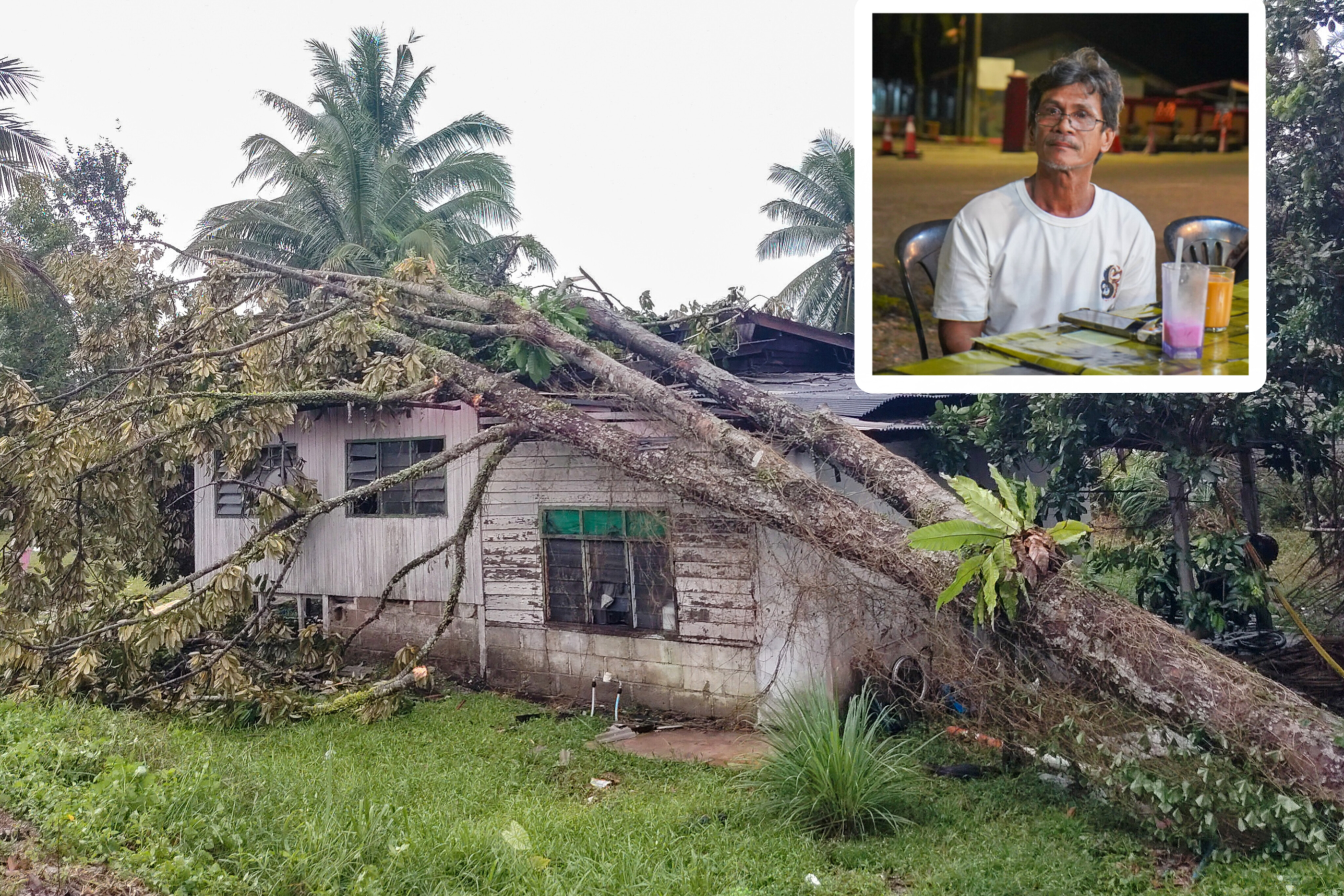 Pokok Hempap Rumah Depan Mata, Seminit Selepas Penghuni Keluar