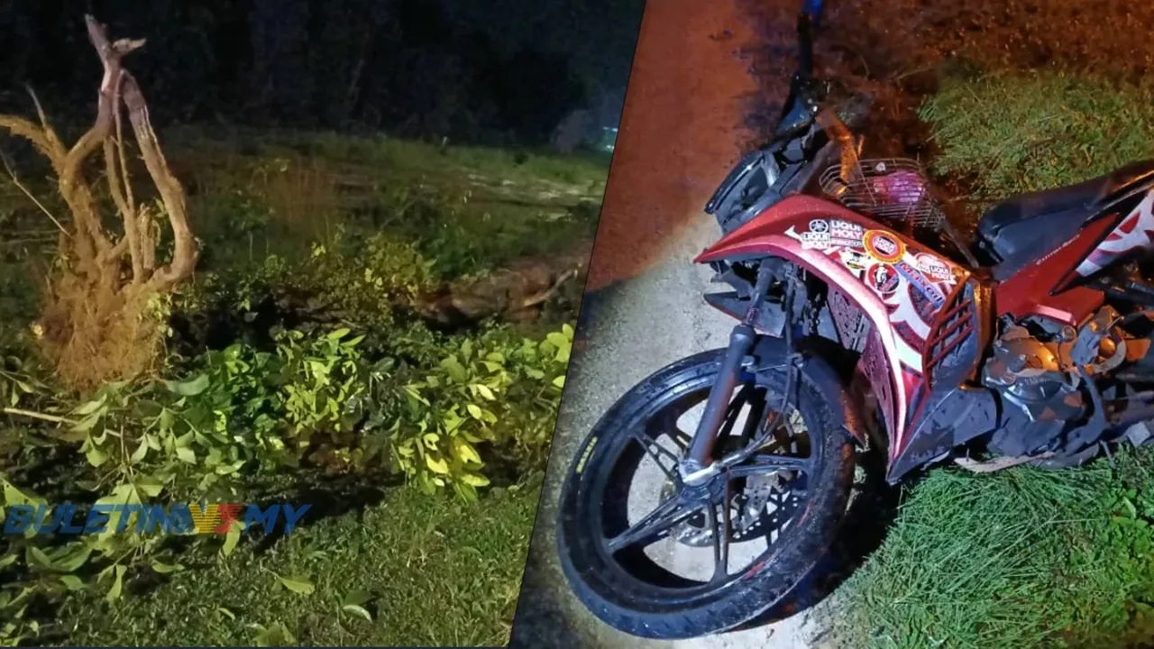 Lelaki Warga Indonesia Maut Motosikal Rempuh Pokok Tumbang Di Setiu
