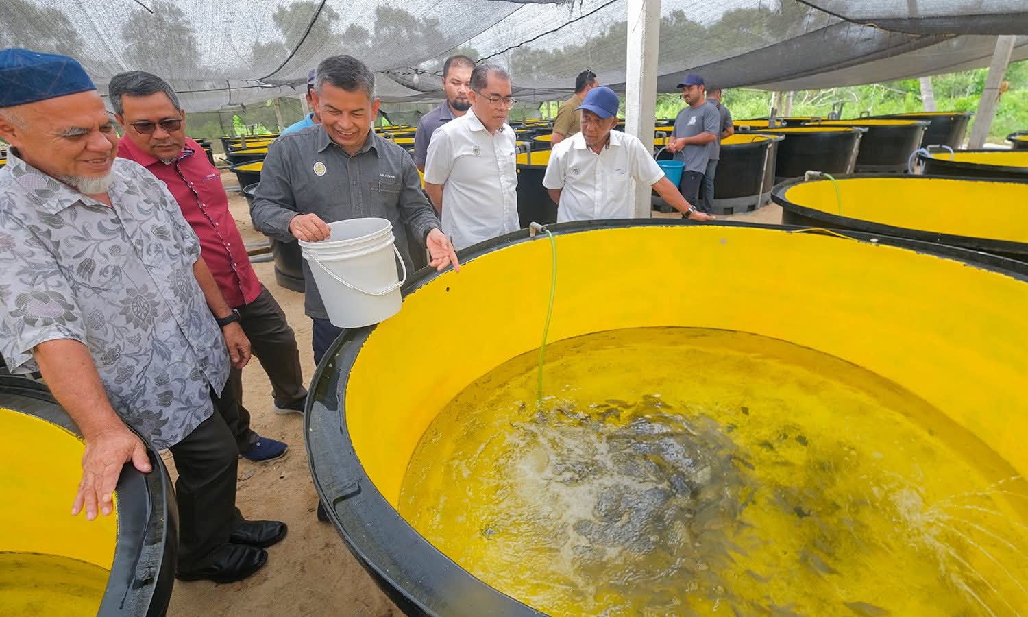 Terengganu Pengeluar Utama Benih Ikan Marin Negara Catat Peningkatan 15.5 Juta Ekor