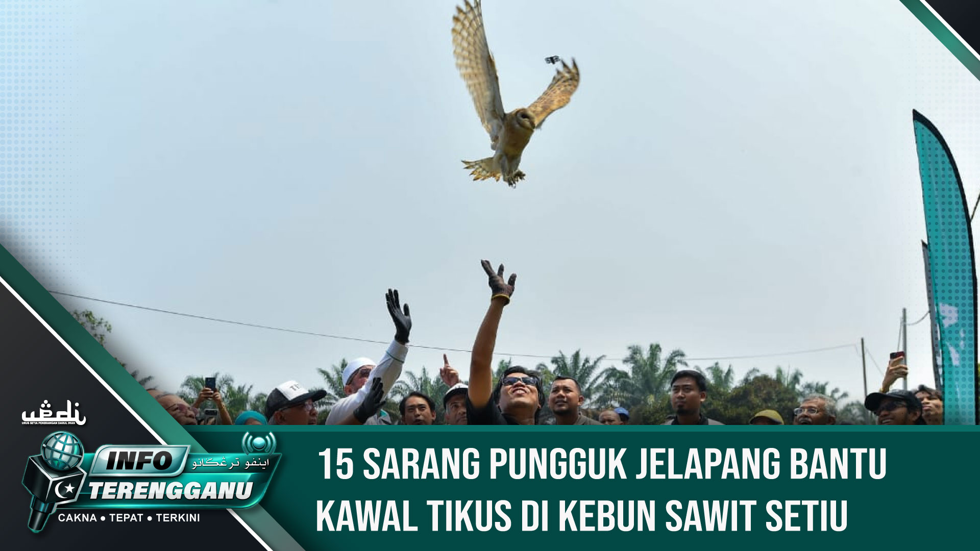 15 Sarang Pungguk Jelapang Bantu Kawal Tikus di Kebun Sawit Setiu