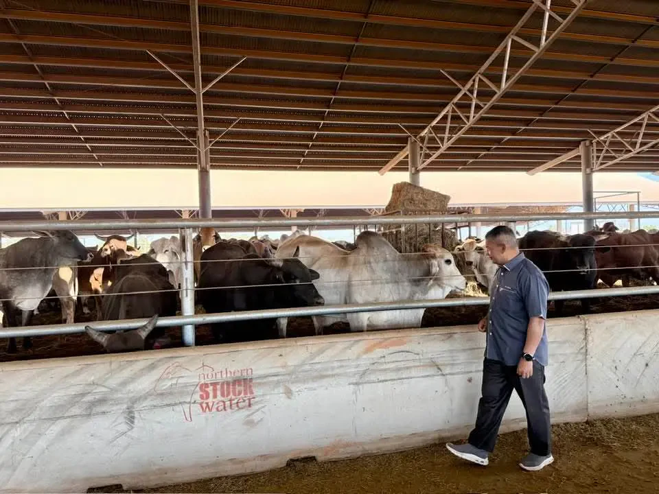 Terengganu Import Baka Brahman, Perkukuh Jaminan Bekalan Makanan